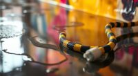 keep cords dry during painting
