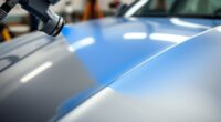 top car hvlp sprayers
