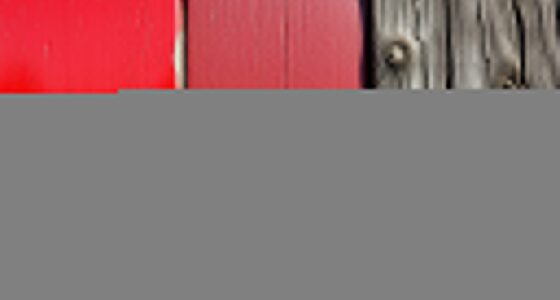 selecting weather resistant paints