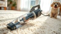 top pet carpet cleaning devices