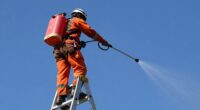 ladder sprayer injury prevention