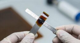 measuring wet coating thickness