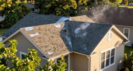 spraying from top down