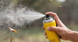wind causes spray hazards