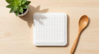 10 Best Odor Absorber in 2026