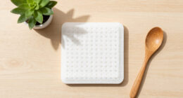 10 Best Odor Absorber in 2026