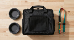 13 Best Airline Approved Pet Carriers in 2026