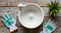 13 Best Bird Baths in 2026