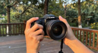 10 Best Nature Photography Cameras in 2026