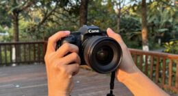 10 Best Nature Photography Cameras in 2026