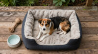 14 Best Dog Beds in 2026