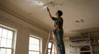 Falling Ceiling Debris At Kennedy Center May Mire Debate Over Renovations - The Guardian